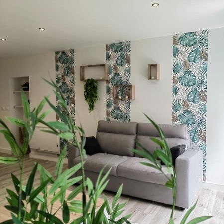 Bel Appartement Bord Du Rhone Валанс Екстер'єр фото