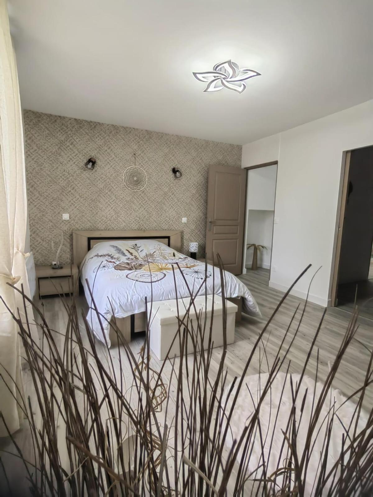 Bel Appartement Bord Du Rhone Валанс Екстер'єр фото